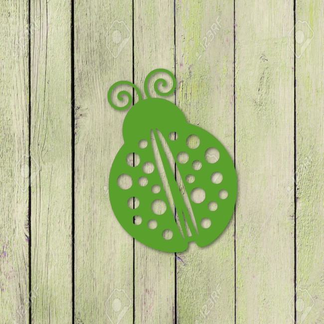 Biedronka - obrazek 4