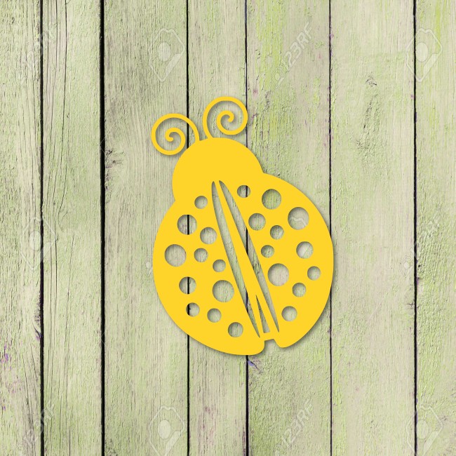 Biedronka - obrazek 3