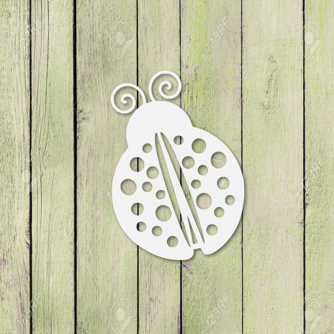 Biedronka - obrazek 2