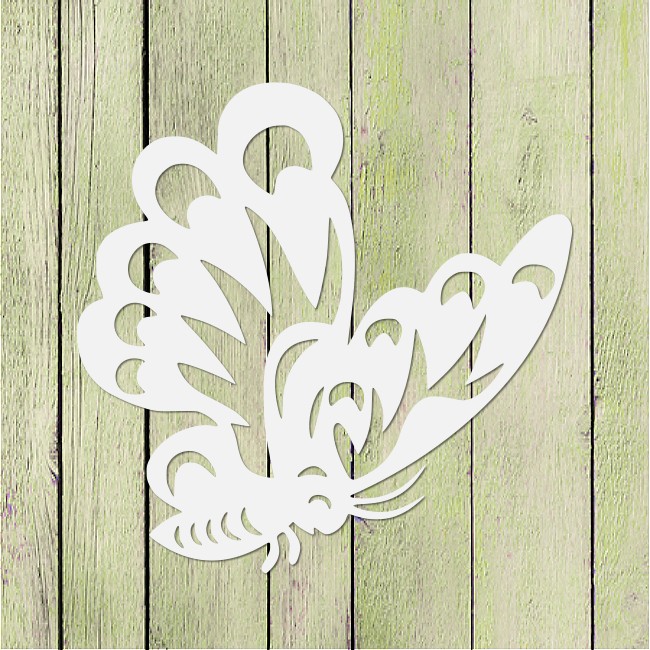 Motylek 6 - obrazek 2